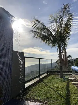 a view of a palm tree from a balcony at Casa da Arvore im Eukalyptuswald in Cova do Moirão