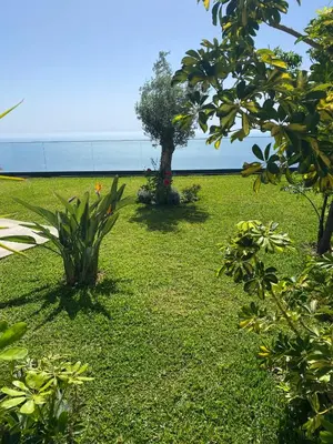 a yard with two trees and green grass at Villa Céu e Mar in Prazeres