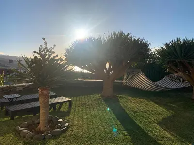 a hammock and two palm trees and a hammock at Namastê House II in Funchal