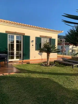 a house with a palm tree in the yard at Namastê House II in Funchal