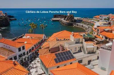 a view of a city with boats in the water at OurMadeira - Bayside in Câmara de Lobos