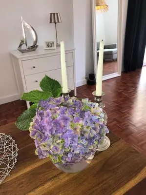 a vase of flowers sitting next to a toilet at Casa do mar 2 bedrooms and kingsize bed in Ponta Delgada