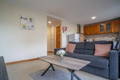 a living room with a couch and a table at Vista Vieira Apartments in Funchal