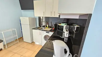 a kitchen with a sink and a washing machine at Funchal Apartments - New Botanic Garden Petit Studios in Funchal