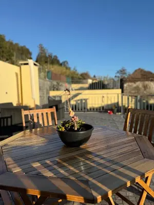 a patio with the sun shining through a fence at Casa do terno com piscina in Arco da Calheta