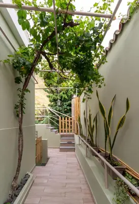 a corridor with trees and stairs in a building at Seaside Green House, Paúl do Mar T2 in Paul do Mar