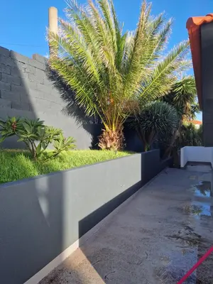 a retaining wall with palm trees in a yard at Villa Vista Norte in Porto Moniz