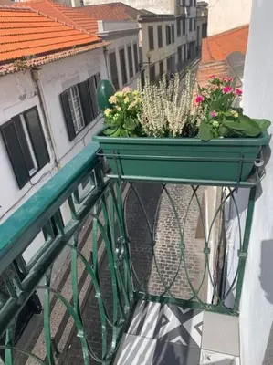 a balcony with a green railing with flowers on it at Apartment Primavera: City centre, modern w/balcony in Funchal