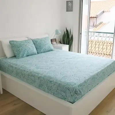 Apartment Primavera: City centre