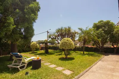 a yard with a chair and trees and a sidewalk at Pilar House in Funchal