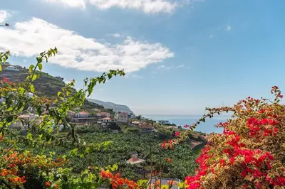 a view of a hill with flowers and the ocean at Melro's Place by Stay Madeira in Ponta do Sol