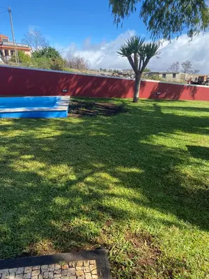 a green yard with a tree and a red wall at Vila Henrique Country Cottage in Fajã da Ovelha