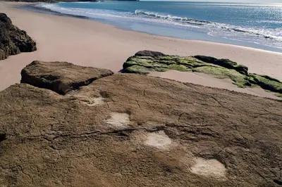 a beach with some rocks and the ocean at Casa Sereia Praia in Salema