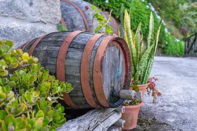 a wooden barrel sitting next to some plants at Villa Fontes 7 in Ponta Delgada