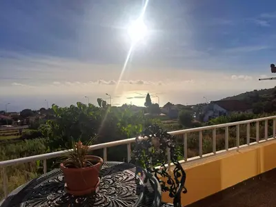 a table with a plant on a balcony with the sun at Calheta Countryside in Calheta