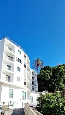 a white building with a palm tree in front of it at Ocean Pearl Apartment Y in Funchal