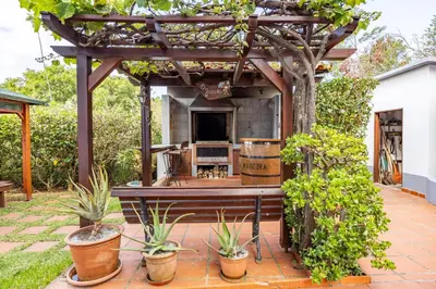 a pergola with a bench in a garden at Vila Gama Apartaments in Machico