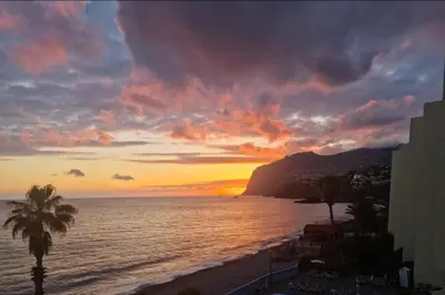 a sunset on the beach with a palm tree at Madeira Palace Apartments CF5 in Funchal
