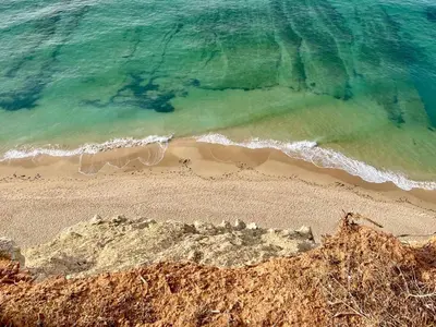 an aerial view of a beach with the ocean at E&M Apartment Luz in Luz