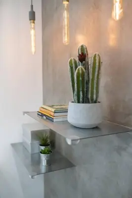 a cactus sitting on a shelf in a room at SUPER Central - Silver in Funchal