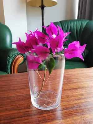 a vase filled with pink flowers sitting on a table at FXapartment1 in Funchal
