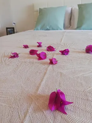 a group of pink flowers on a white bed at FXapartment1 in Funchal