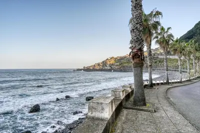 a palm tree on the side of a road next to the ocean at Casa Familia Pestana 1, a Home in Madeira in Seixal
