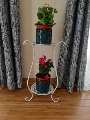 a white plant stand with two potted plants on it at Residência do Saramago in São Vicente