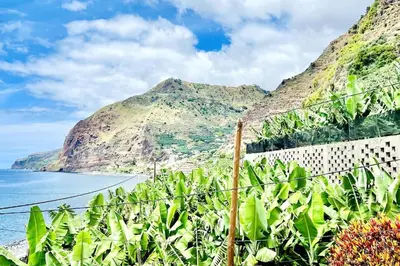 a view of the ocean and a mountain at Apartment Paulo by Your Madeira Rentals in Ponta do Sol