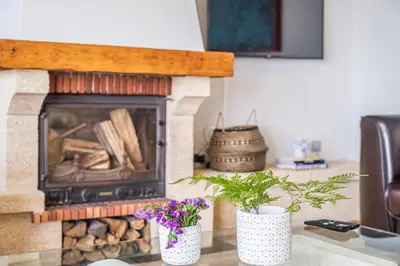 a living room with a fireplace with two vases at Casa da Palmeira in Funchal