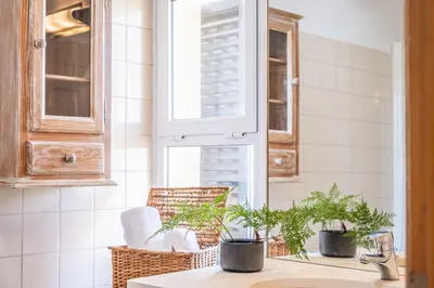 a kitchen with potted plants on the counter at Casa da Palmeira in Funchal