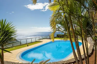 a swimming pool with palm trees and the ocean at Apartamento Vale e Mar in Calheta