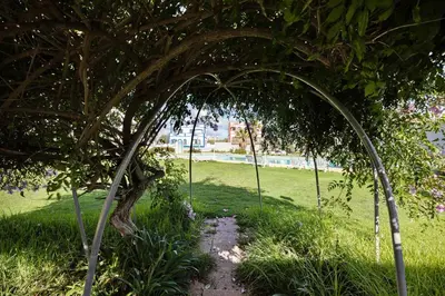 a swing under a tree in a garden at Victoria's House in Sagres
