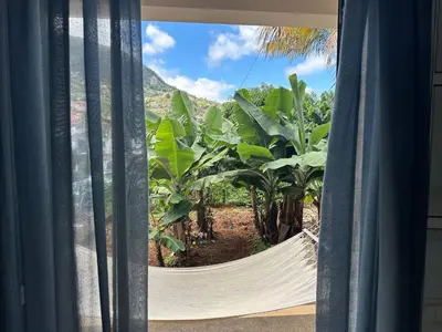 a window with a hammock looking out at a garden at House Silvia & Nuno´s in Machico