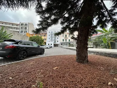 a car parked next to a tree on a street at Living Funchal iNN in Funchal