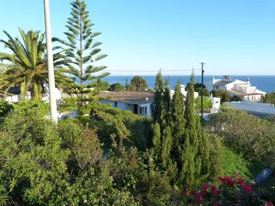 a view of a garden with trees and plants at Casa Katarina in Luz