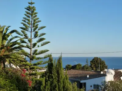 a pine tree in front of a building and the ocean at Casa Katarina in Luz