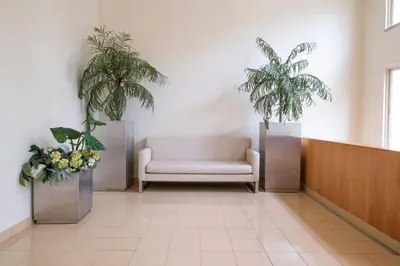 a waiting room with a chair and two plants at Sarah's Apartment by GALMI in Caniço