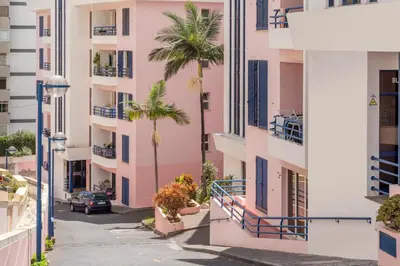 a street in a city with palm trees and a pink building at Casa Branca VI by An Island Apart in Funchal