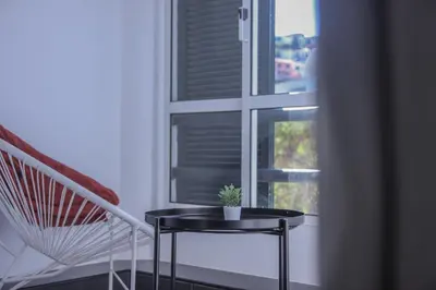 a plant sitting on a table in front of a window at Barreiros ArchDesign Apartment in Funchal