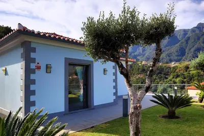 a blue house with a tree in the yard at Casa Da Achada, By OP in São Vicente