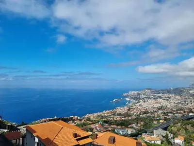 a view of a city and a body of water at Olimpia Gardens View by Rentallido in Funchal