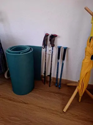 a green trash can next to a group of baseball bats at Levadinha - Nature guest house in Madalena do Mar