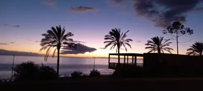 a sunset with palm trees in front of the ocean at Levadinha - Nature guest house in Madalena do Mar