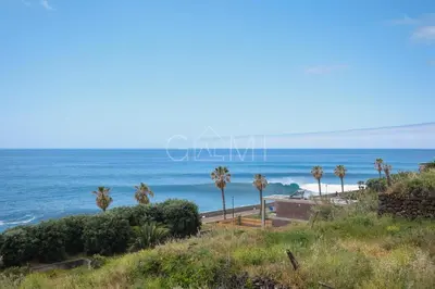 a view of a beach with palm trees and the ocean at Esterinha's Ocean Apartment by GALMI in Jardim do Mar