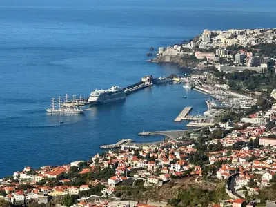 an aerial view of a harbor with a cruise ship at SÃO GONÇALO APARTAMENTO in Funchal