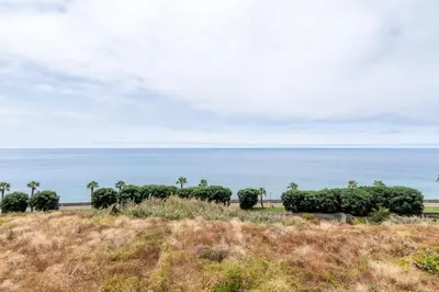 a field with trees and the ocean in the background at Esterinha's Sunset Apartment by GALMI in Estreito da Calheta