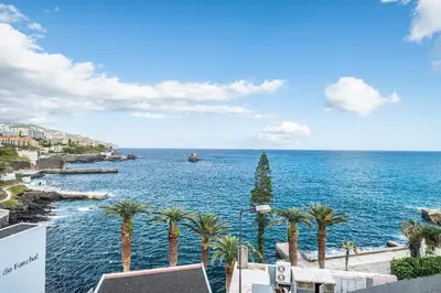a view of a large body of water with palm trees at Studio Mar - By WeHost in Funchal
