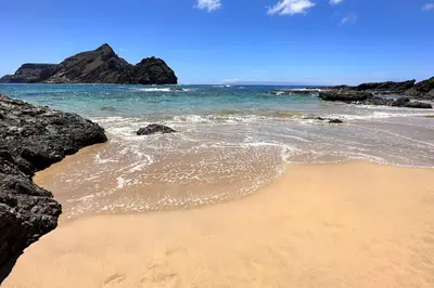 a sandy beach with rocks and the ocean at Casa Branca Apartment in Funchal in Funchal