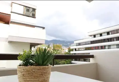 a potted plant sitting on top of a balcony at Vista Infante Apartments in Funchal